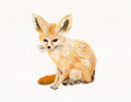 個展_林動物園_フェネック_林けいか