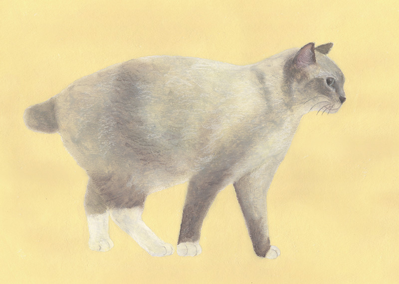 飼い主の手なずけ方_とことこ_林けいか