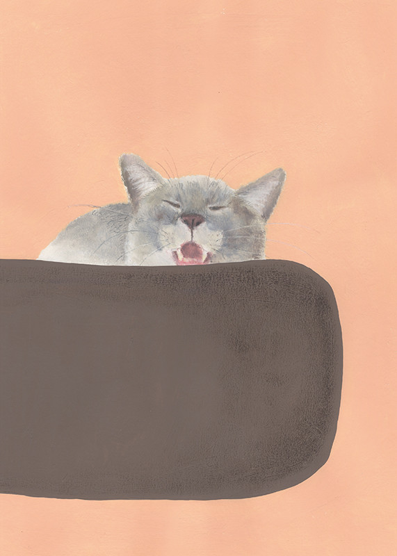 個展「飼い主の手なずけ方」_林けいか_あくび寸前