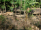 f:id:KEIRI:20061112170930j:image:small
