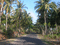f:id:KEIRI:20061112170950j:image:small