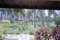 f:id:KEIRI:20061119173255j:image:small f:id:KEIRI:20061119173255j:image:small