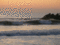 f:id:KEIRI:20091011055251j:image:small f:id:KEIRI:20091011055251j:image:small