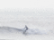 f:id:KEIRI:20091031112840j:image:small