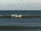 f:id:KEIRI:20101225143942j:image:small