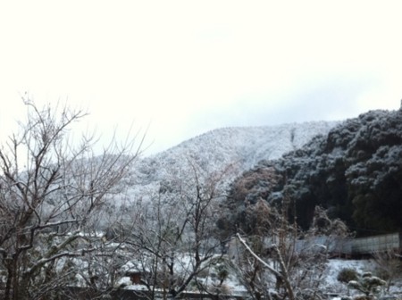 f:id:KEIRI:20101230165847j:image