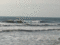 f:id:KEIRI:20110219094349j:image:small f:id:KEIRI:20110219094349j:image:small