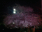 f:id:KEIRI:20110227181726j:image:small