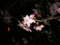 f:id:KEIRI:20110227184147j:image:small