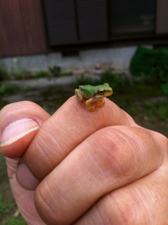 f:id:KEIRI:20110816181914j:image:w360