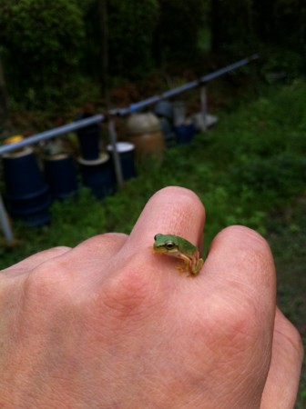 f:id:KEIRI:20110816182023j:image:w360