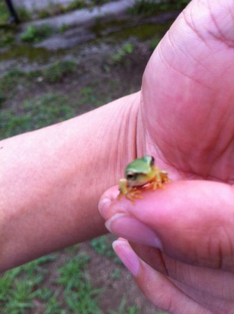 f:id:KEIRI:20110816182203j:image:w360