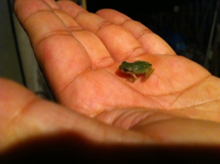 f:id:KEIRI:20110816214335j:image:w360