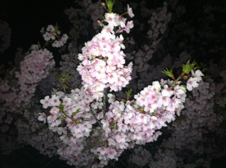 f:id:KEIRI:20120326234654j:image:w360