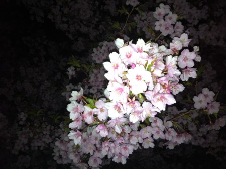 f:id:KEIRI:20120326234758j:image:w360