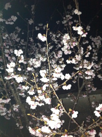 f:id:KEIRI:20120326234912j:image:w360