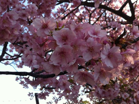 f:id:KEIRI:20120327075041j:image:w360