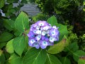 20120611183844