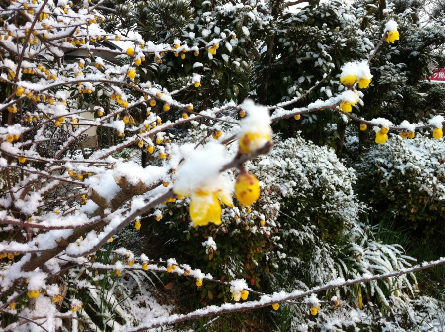 f:id:KEIRI:20130101074753j:image:w360