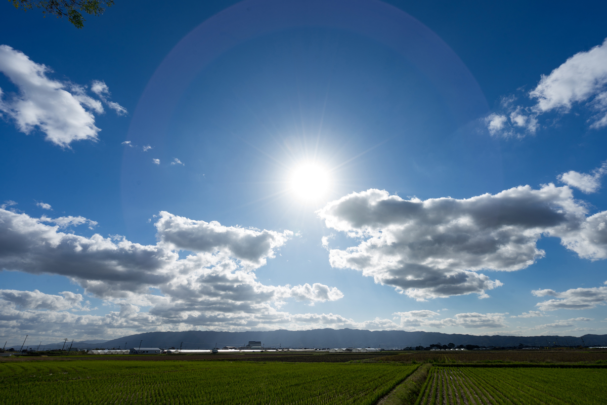 f:id:KEISHU:20191009184955j:plain f:id:KEISHU:20191009184955j:plain