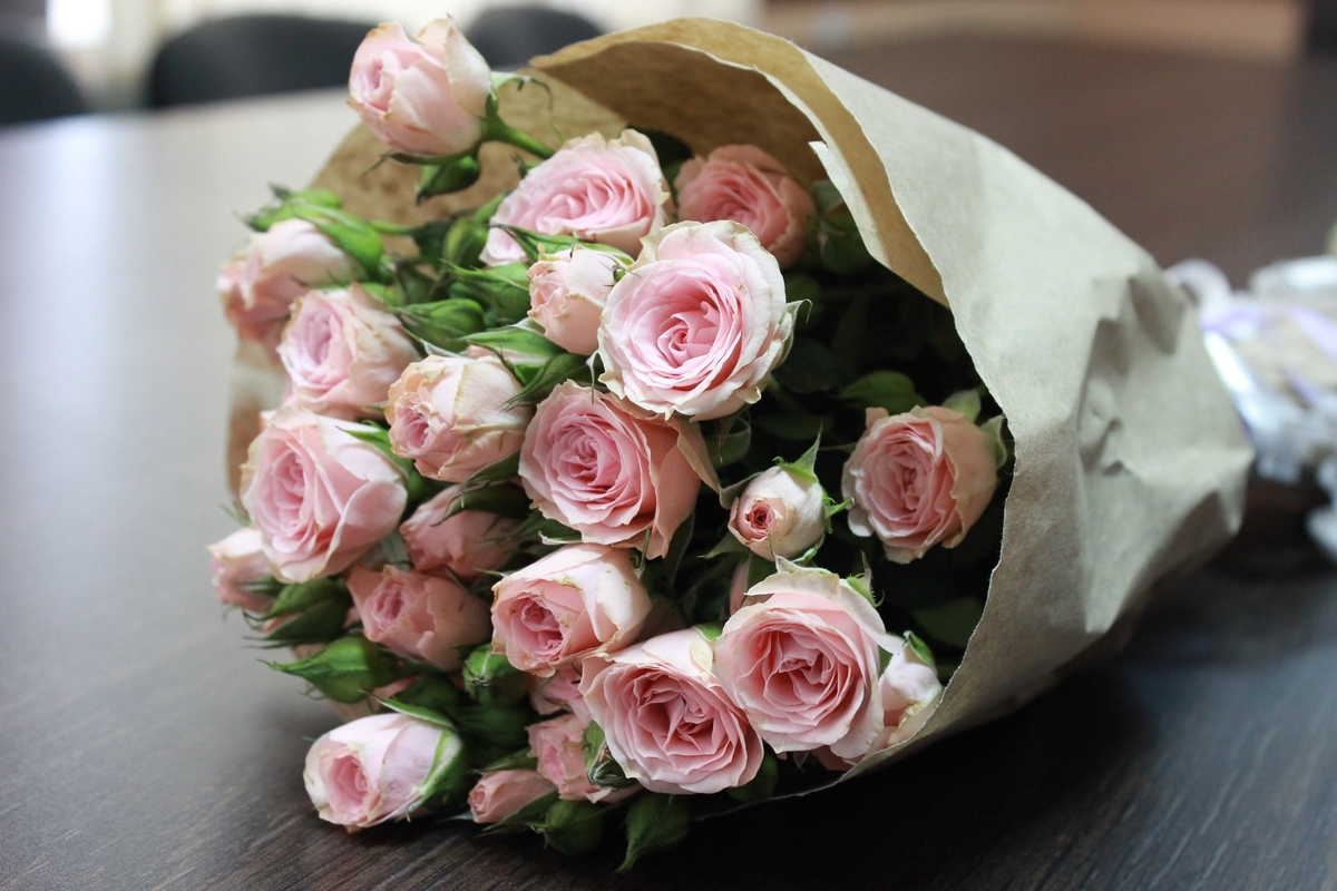 f:id:KEISHU:20191026003420j:plain f:id:KEISHU:20191026003420j:plain