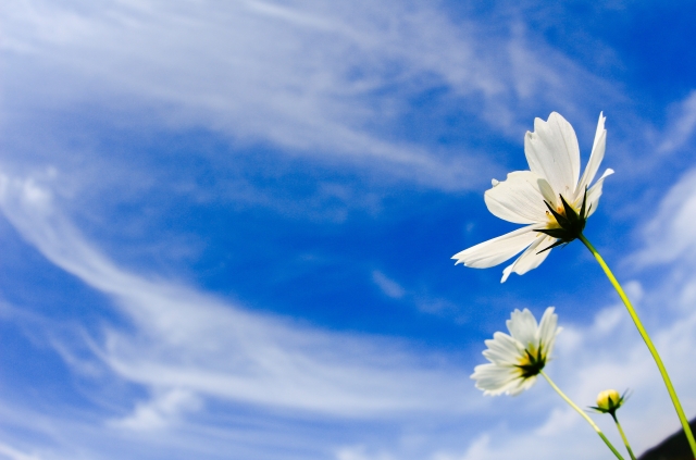 f:id:KEISHU:20200203171635j:plain f:id:KEISHU:20200203171635j:plain