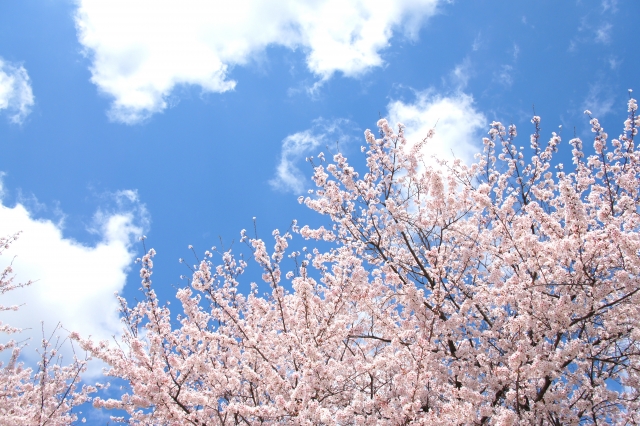 f:id:KEISHU:20200323135744j:plain f:id:KEISHU:20200323135744j:plain