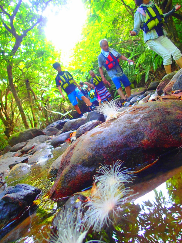 f:id:KEN-GUIDE:20160828222406j:plain