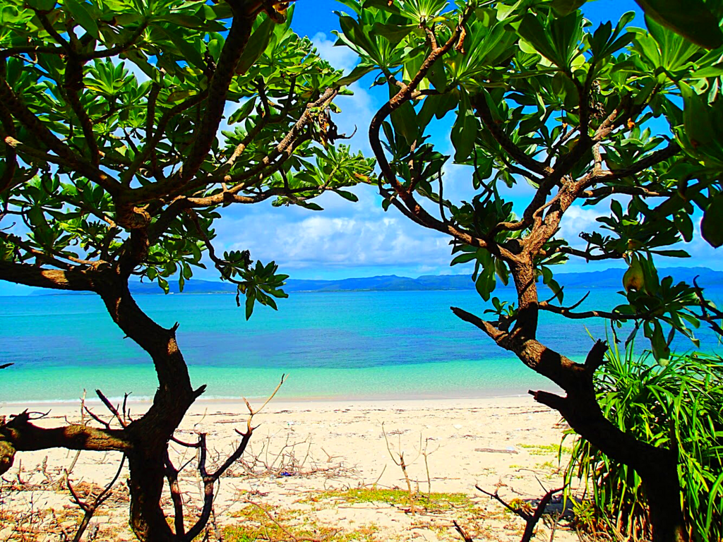 f:id:KEN-GUIDE:20171223081259p:plain