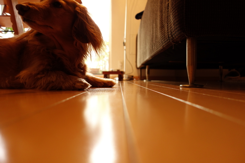 f:id:KEN-S:20141225213528j:plain