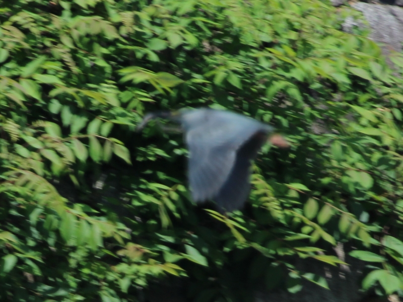 f:id:KEN-S:20150524143938j:plain