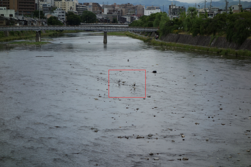 f:id:KEN-S:20150606170347j:plain