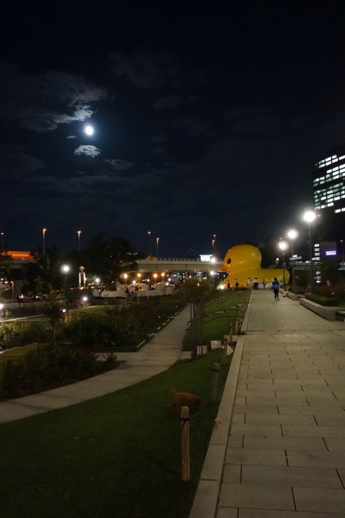f:id:KEN-S:20150928211310j:plain