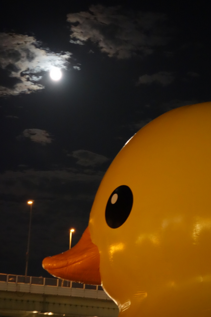 f:id:KEN-S:20150928211344j:plain