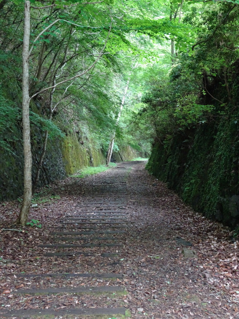 f:id:KEN-S:20160507161454j:plain