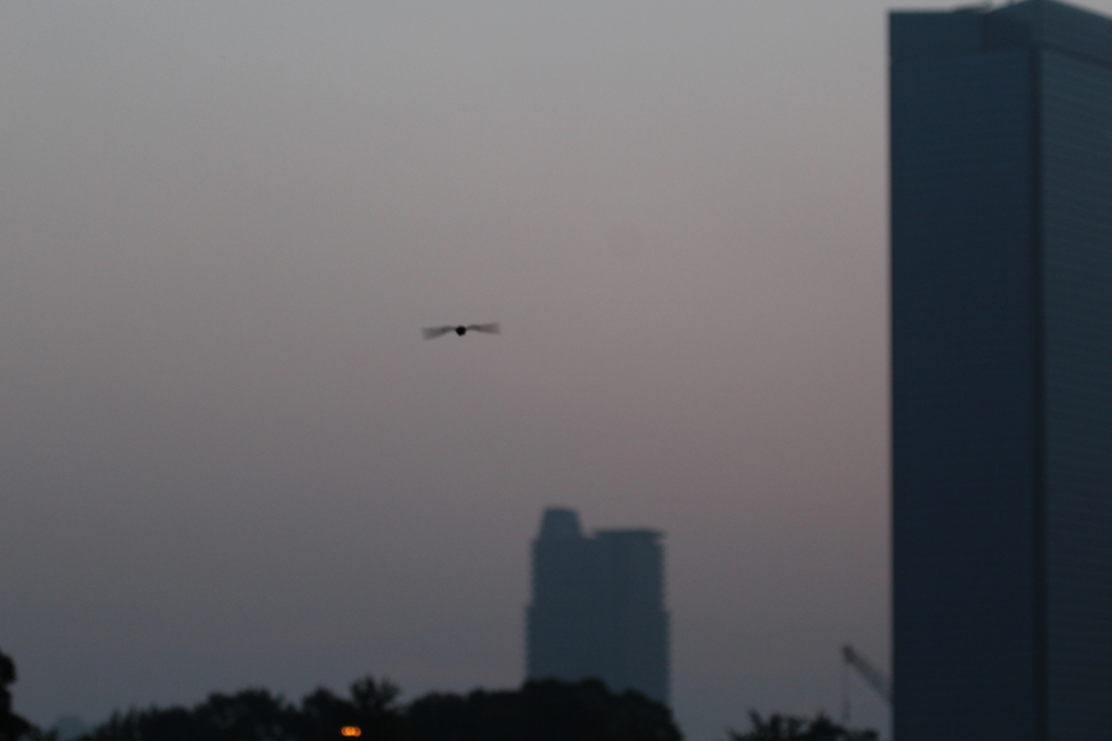 f:id:KEN-S:20160529130627j:plain