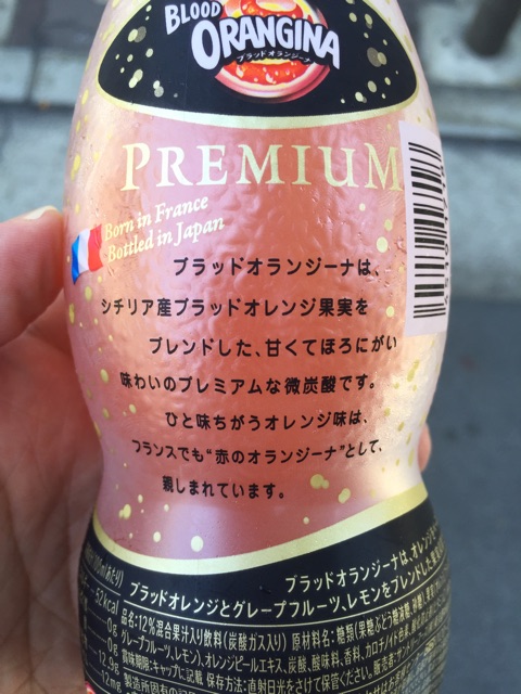 f:id:KEN-S:20160711221624j:plain