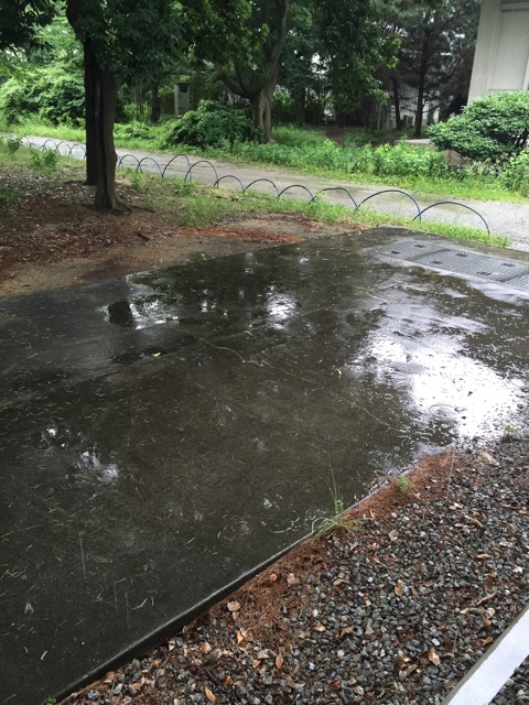 f:id:KEN-S:20160717120909j:plain