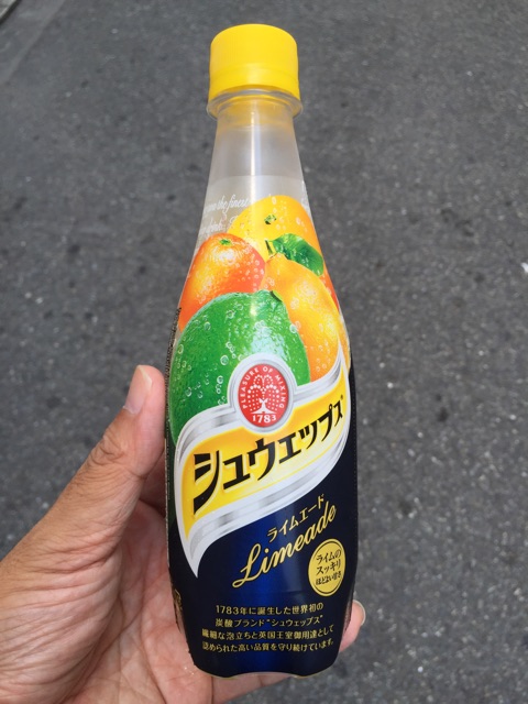 f:id:KEN-S:20160810010130j:plain