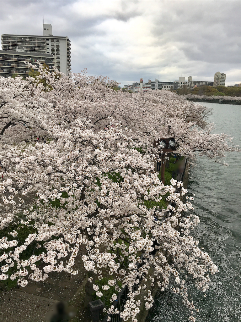 f:id:KEN-S:20170410215559p:image