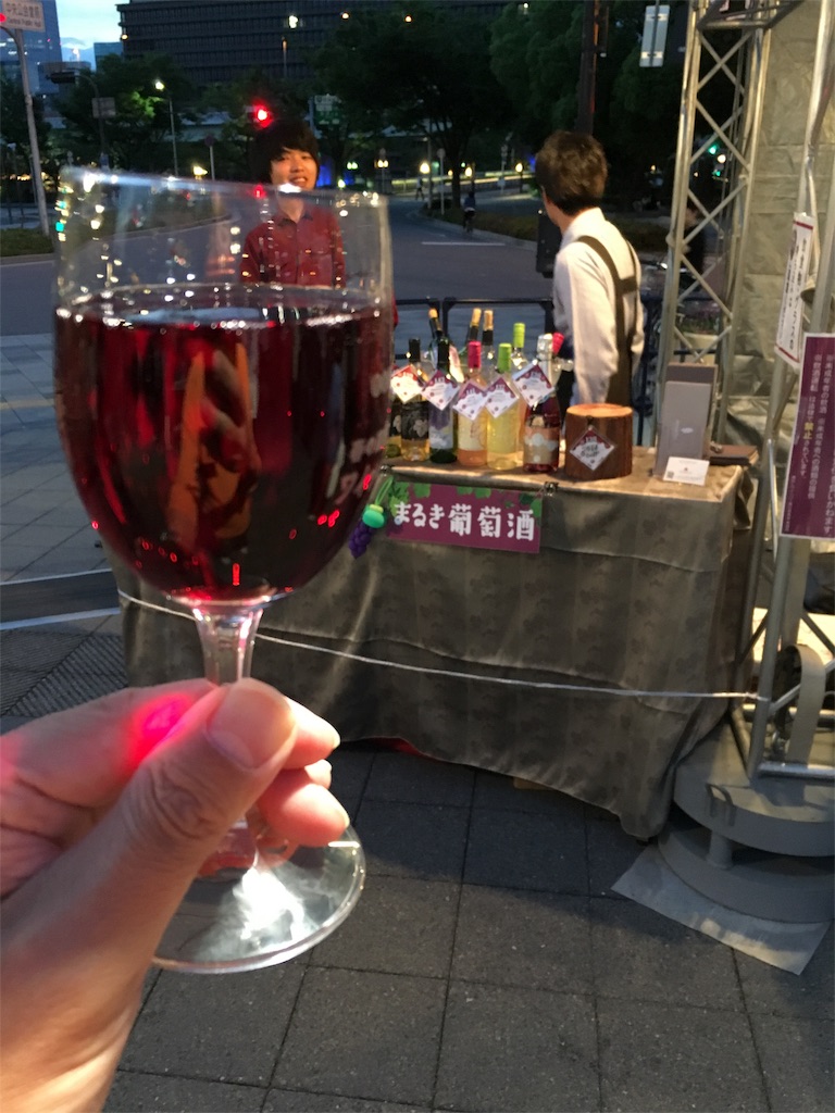 f:id:KEN-S:20170605002524j:image