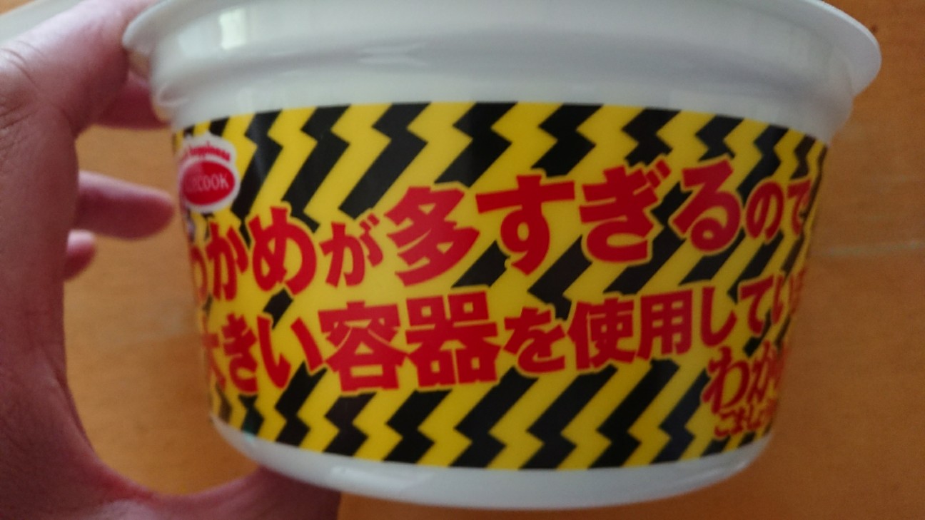 f:id:KEN-S:20190104191303j:plain