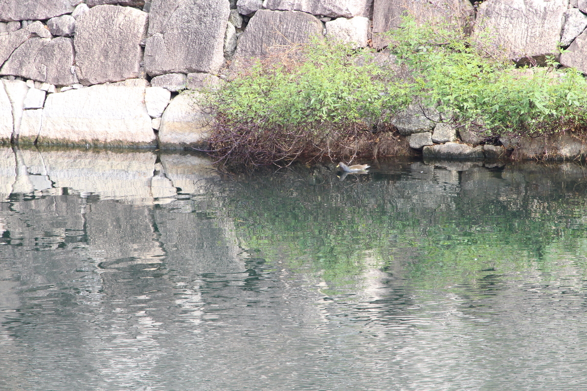 f:id:KEN-S:20200125151823j:plain