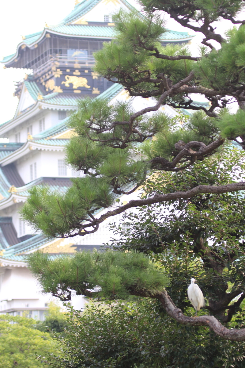 f:id:KEN-S:20200809153225j:plain