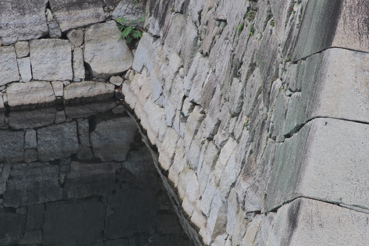 f:id:KEN-S:20201003173228j:plain