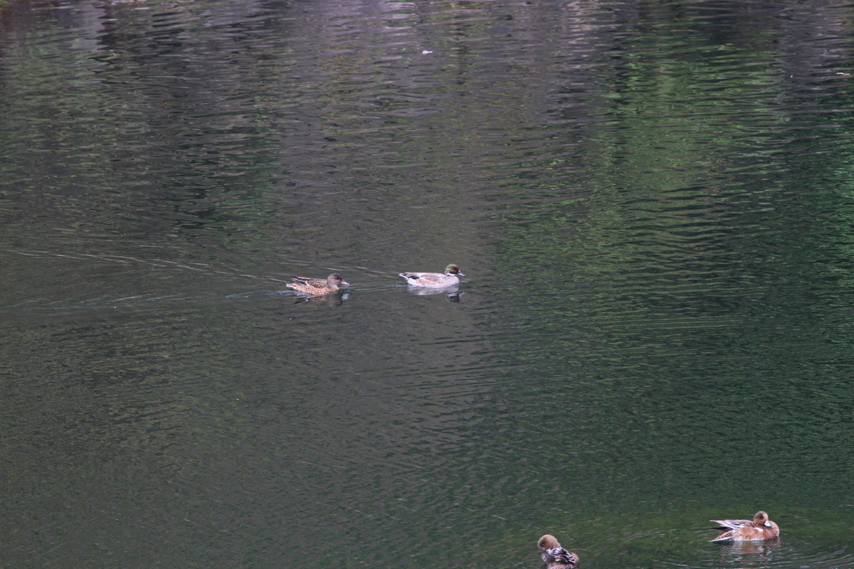 f:id:KEN-S:20201011160858j:plain