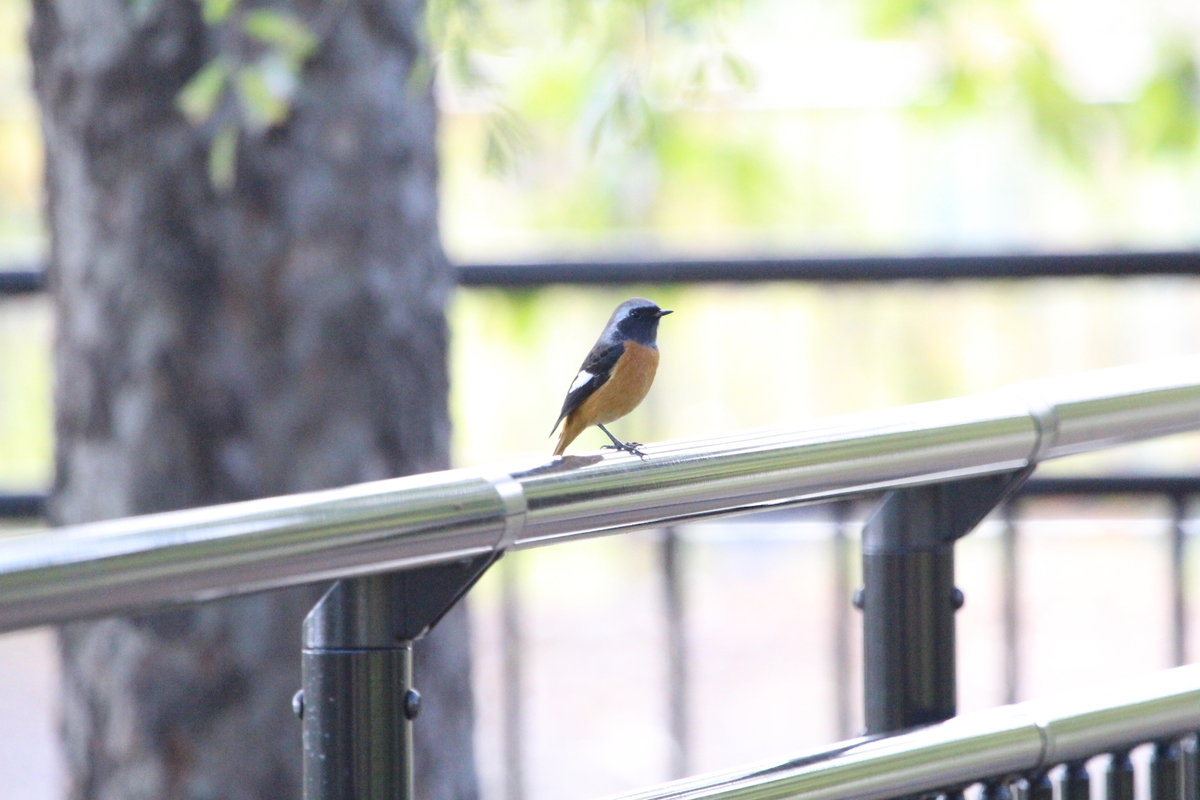 f:id:KEN-S:20201024163405j:plain