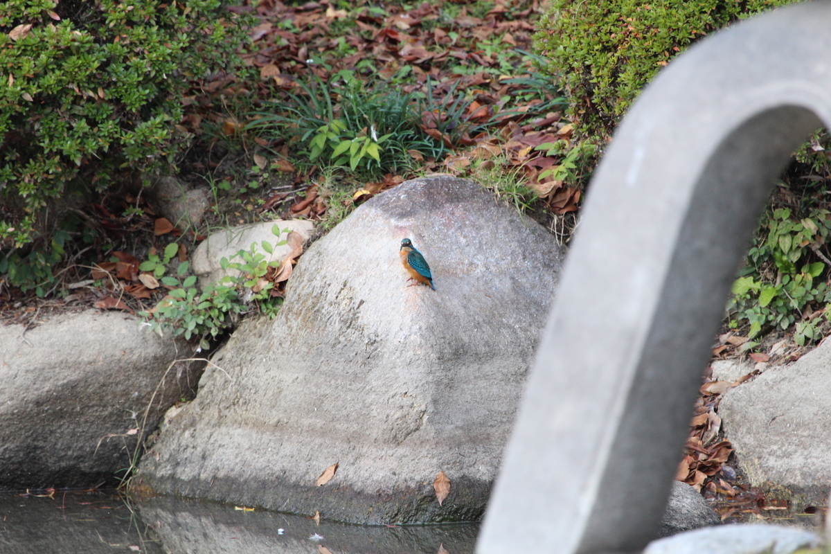 f:id:KEN-S:20201128161240j:plain
