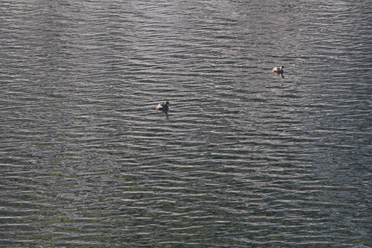 f:id:KEN-S:20201205173502j:plain
