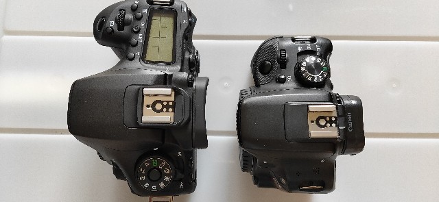 新しいカメラCanon「EOS 90D」を購入しました - おきらく・ごくらく日記
